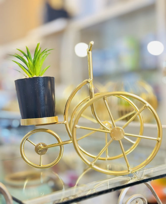 Decorative Bicycle With Plant