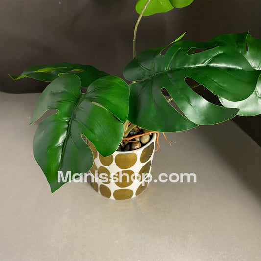 Leaves Planter With Pot
