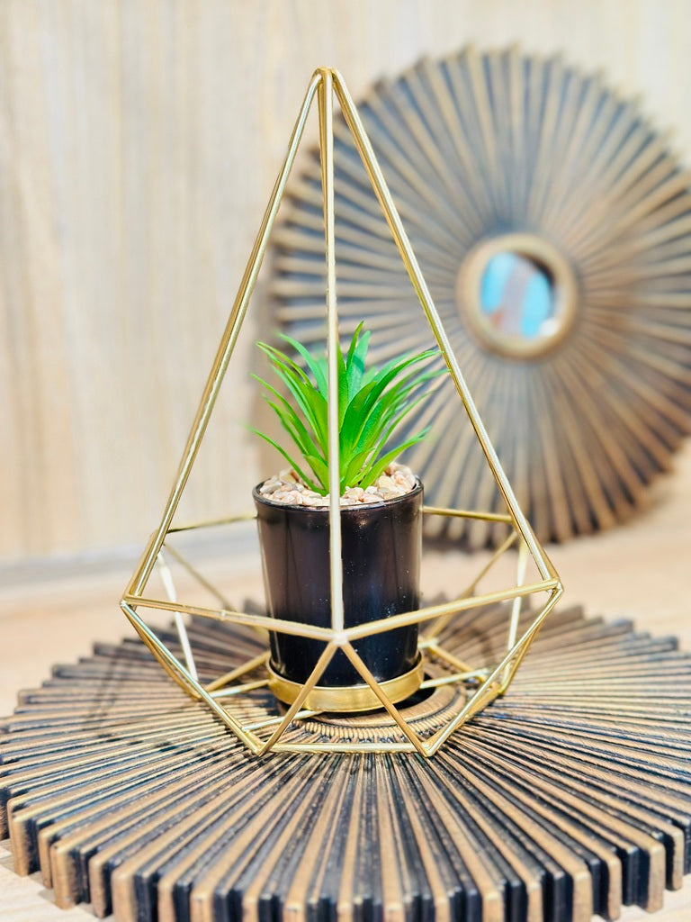 Golden Acute Style With Plant