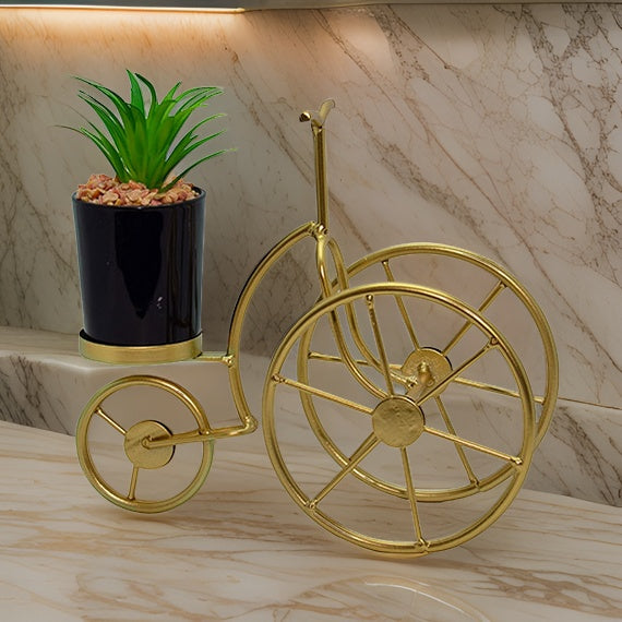 Decorative Bicycle With Plant