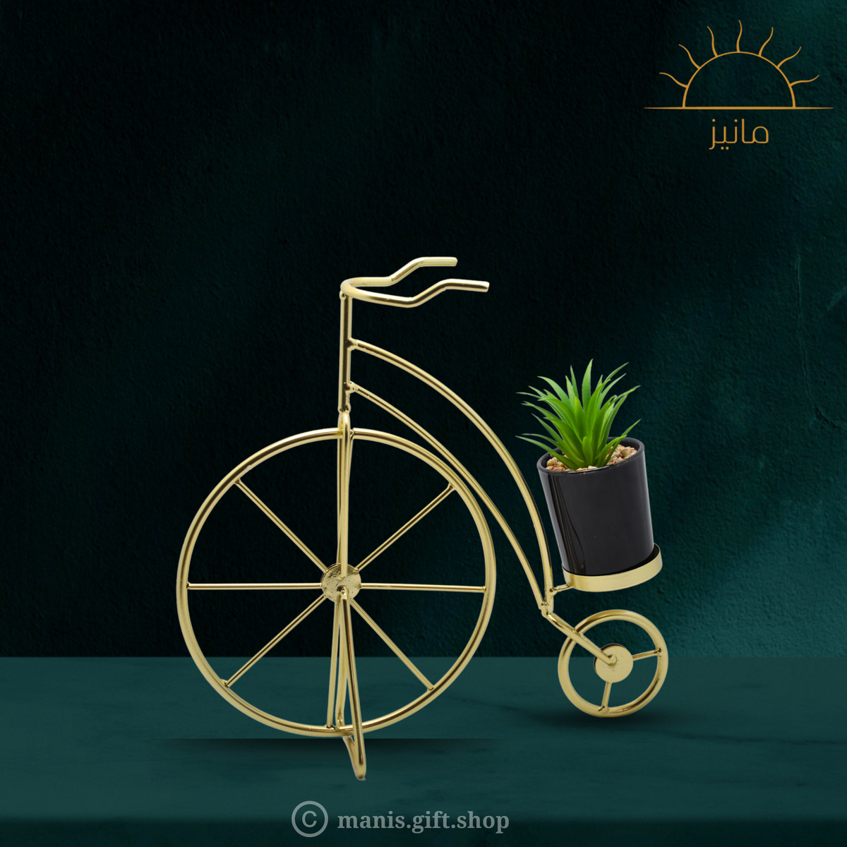 Cycle Planter