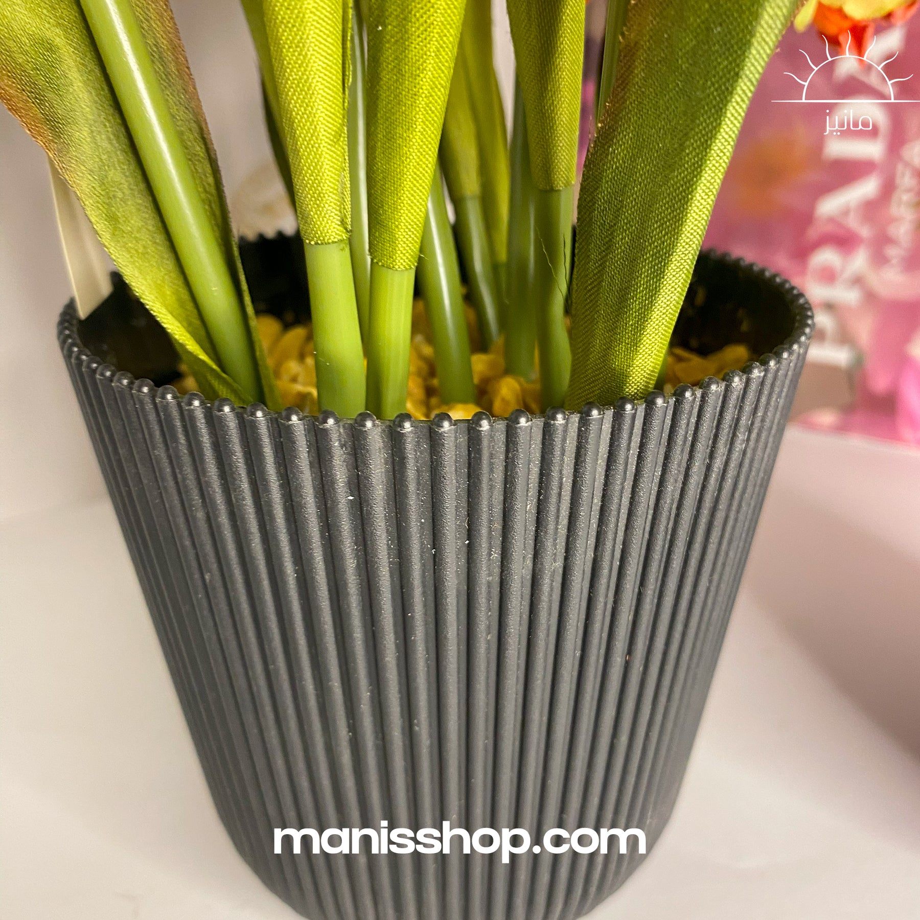 Black Flower pot With Flower