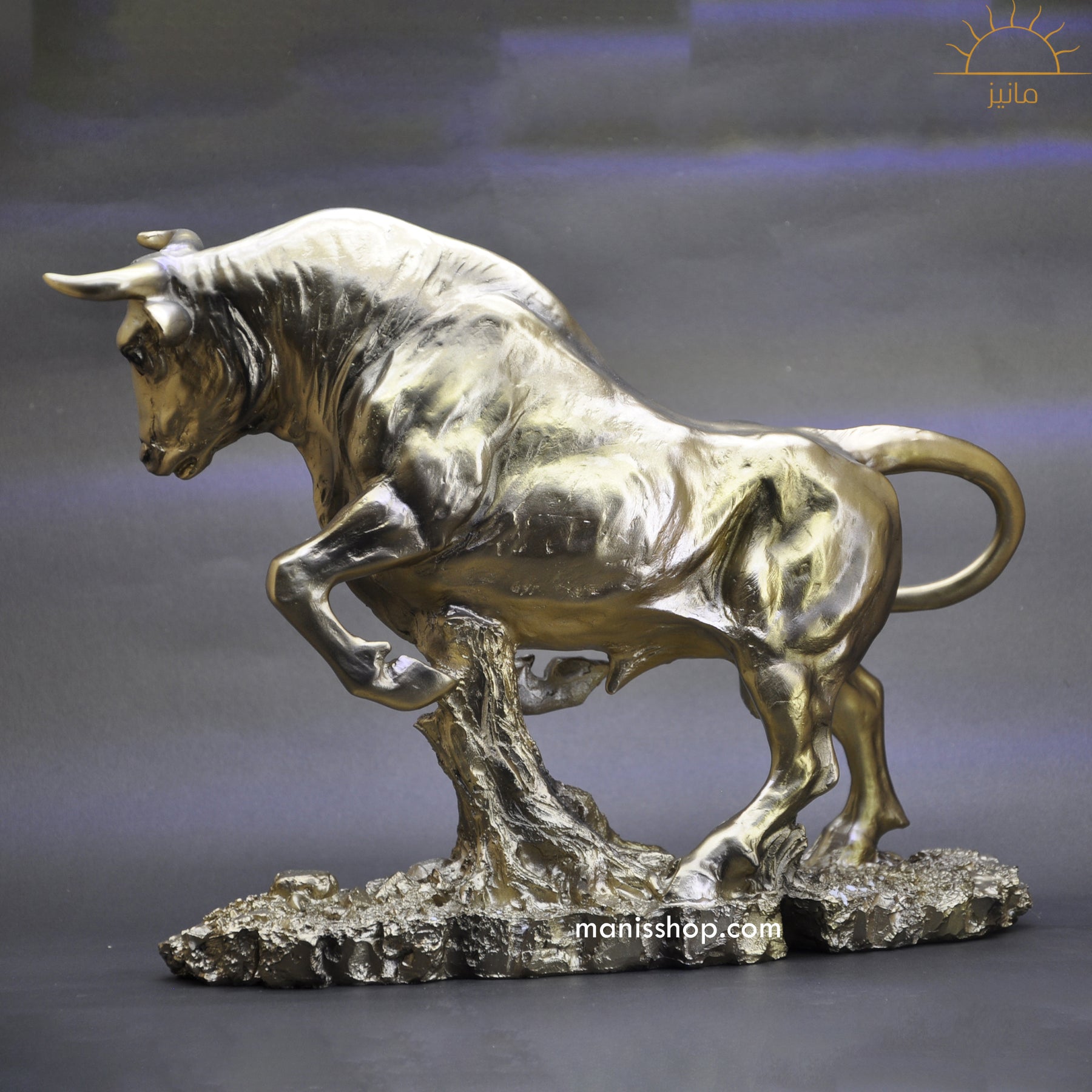 Charged Bull Statue