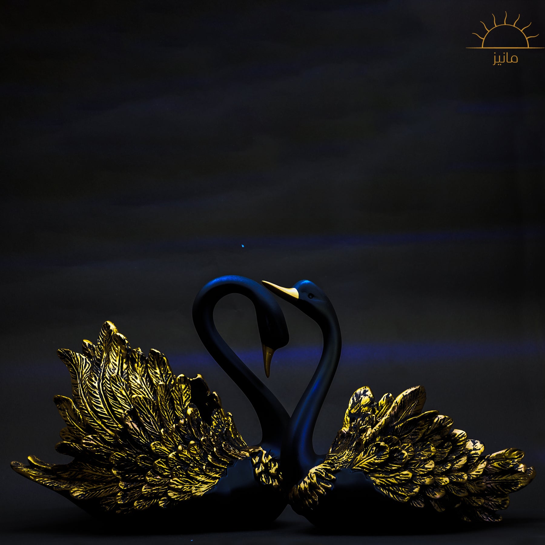 Golden Black Ducks Statue set