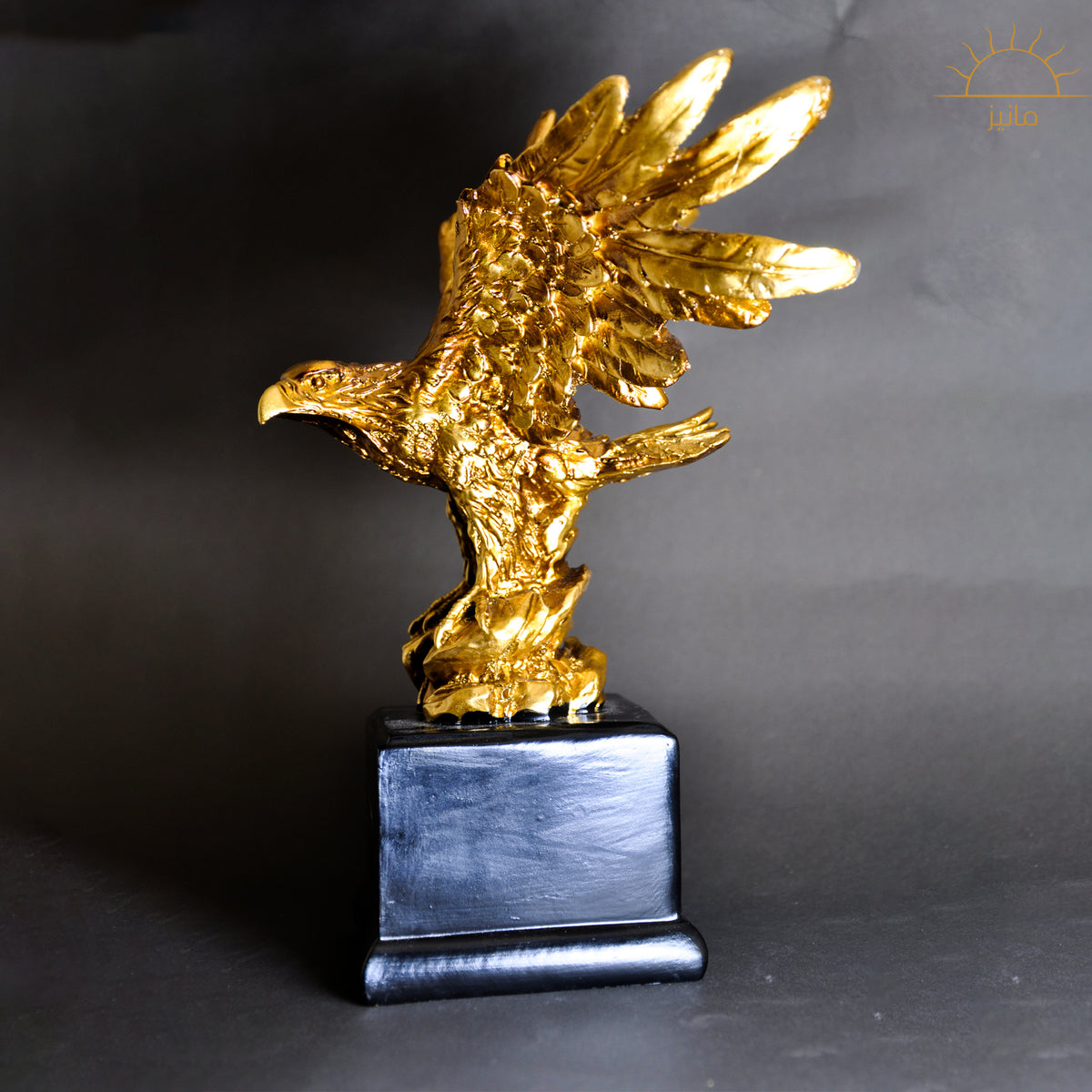 Flying Eagle Staute