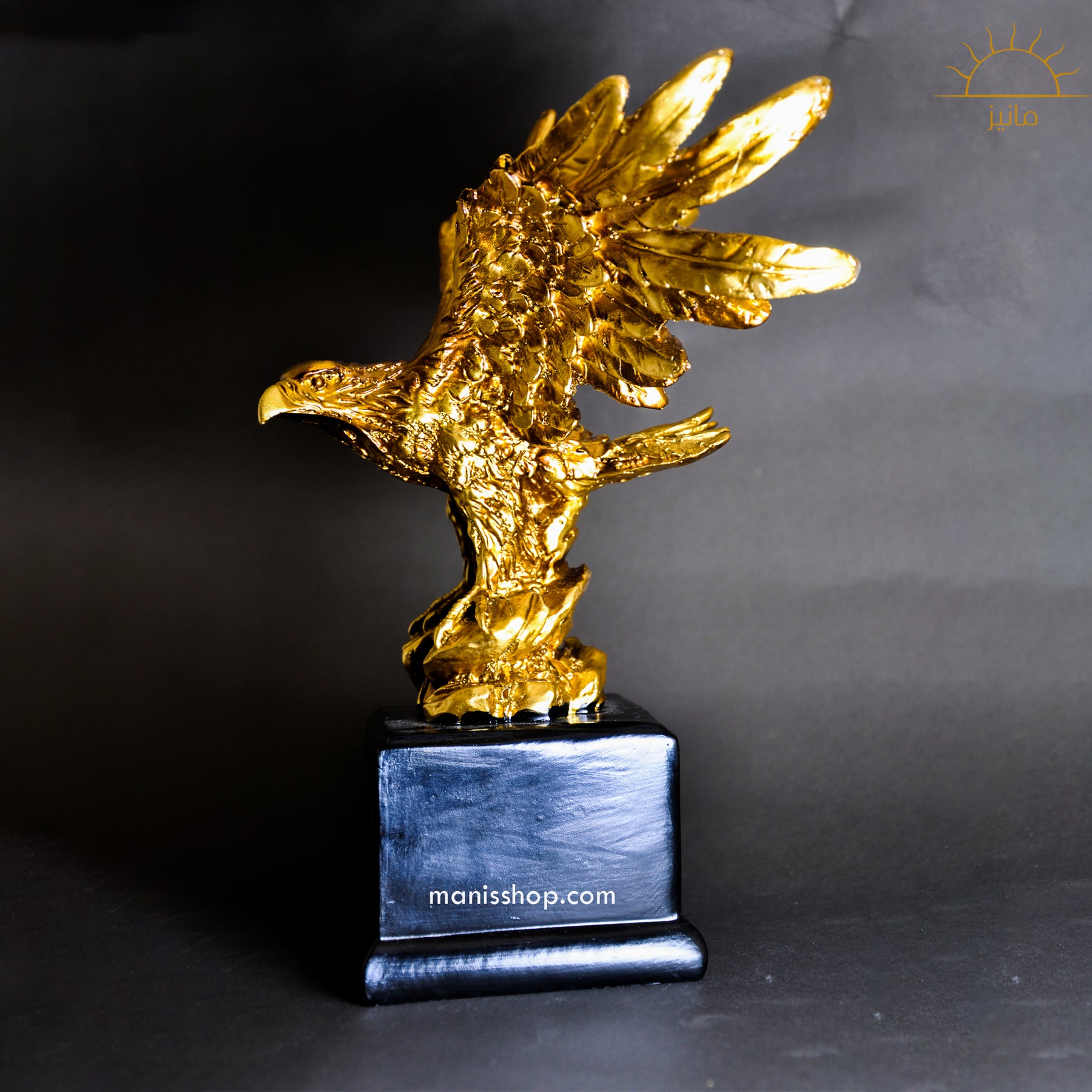 Flying Eagle Staute