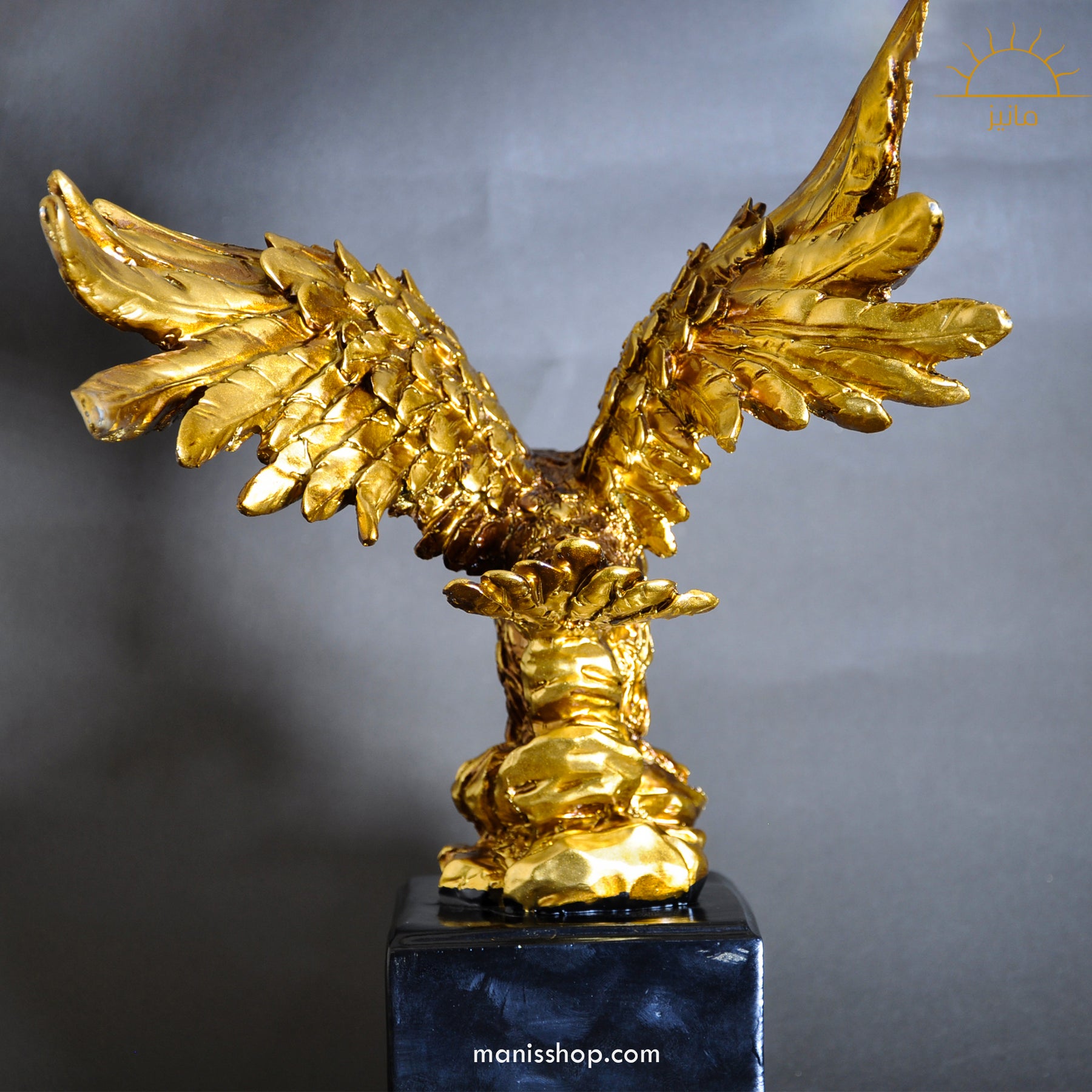 Flying Eagle Staute