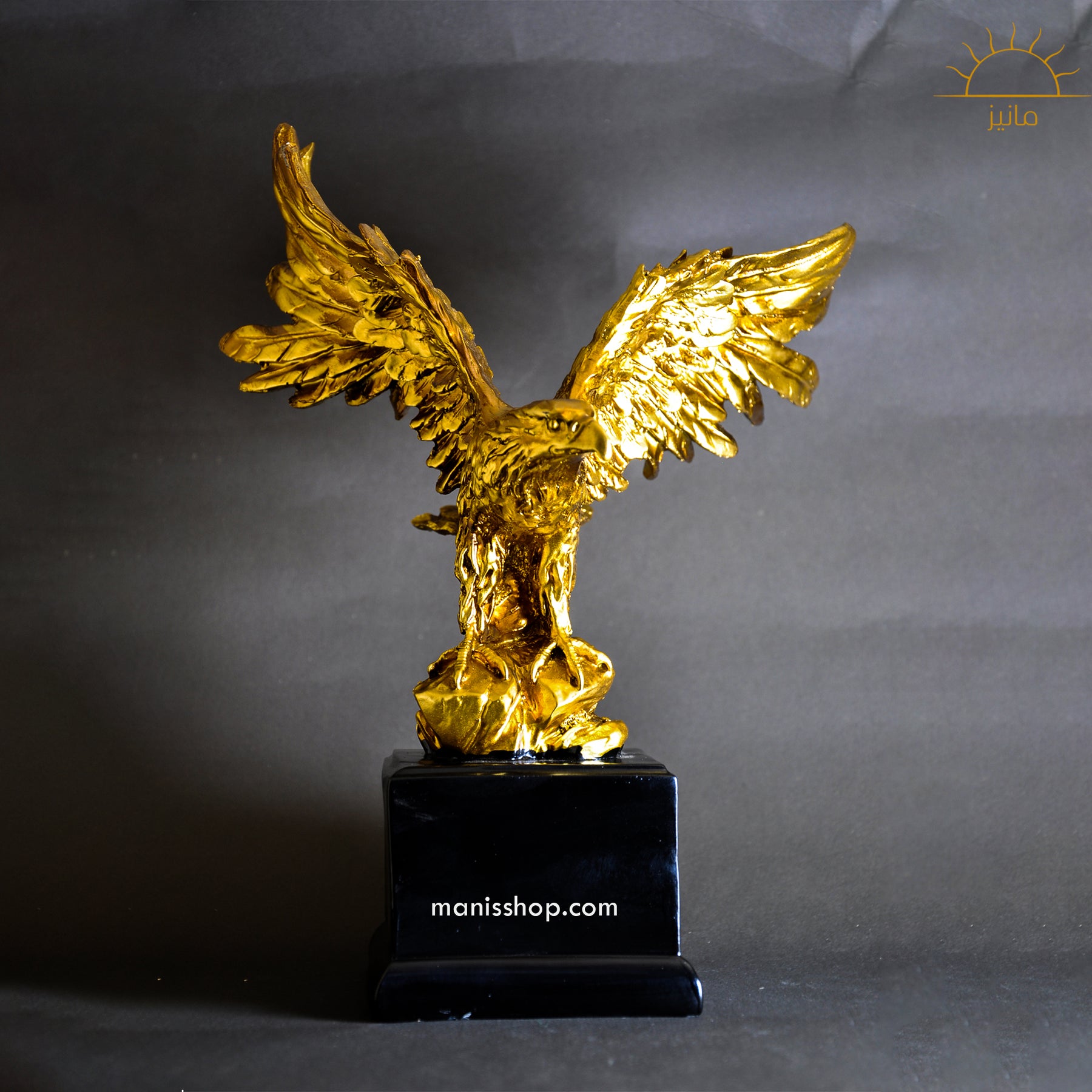 Flying Eagle Staute