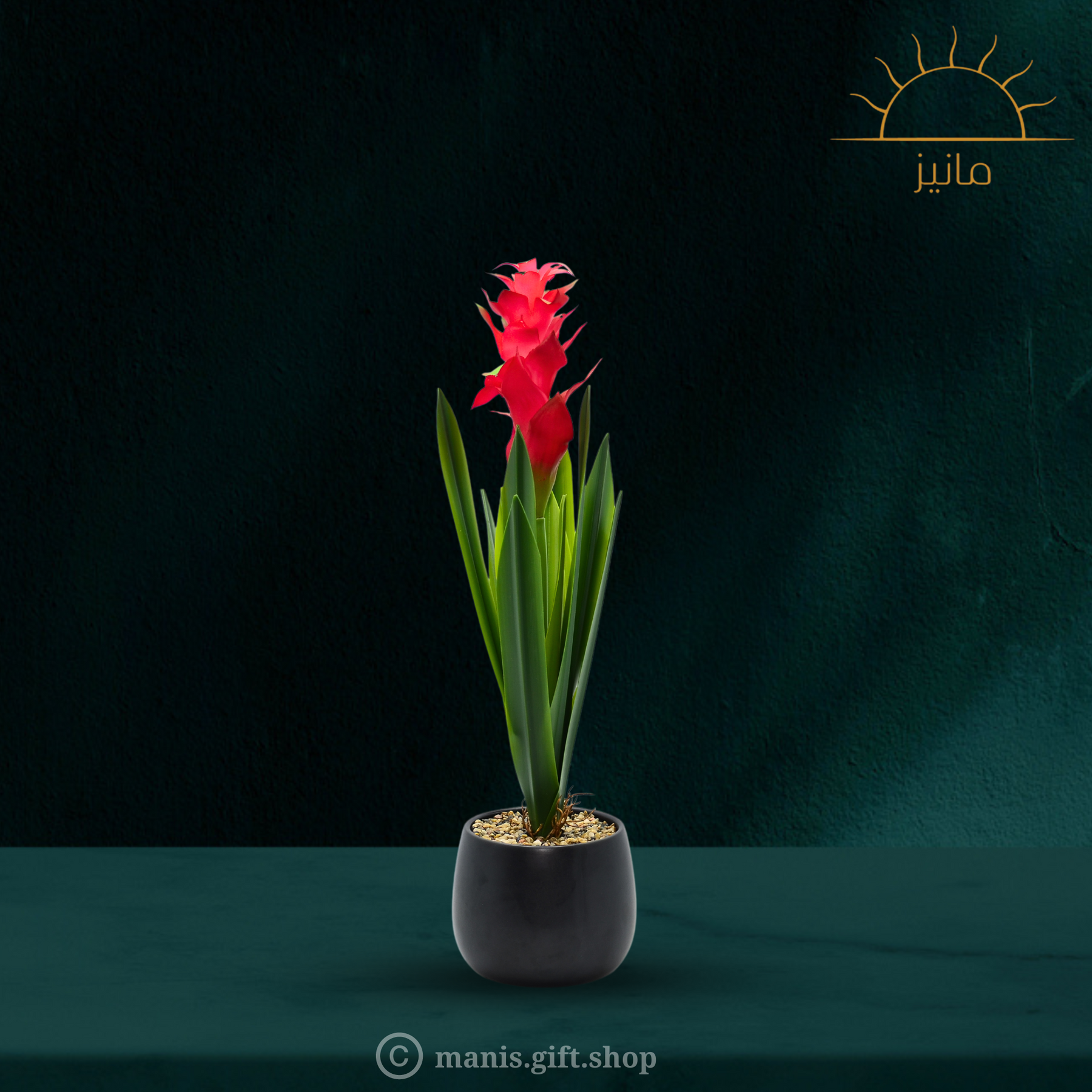 Artificial Bromeliad Plant With Ceramic Pot